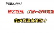 雷速体育比分官网-汉堡球队客场逆转，升级态势强劲的简单介绍