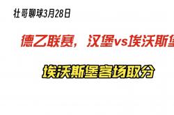 雷速体育比分官网-汉堡球队客场逆转，升级态势强劲的简单介绍