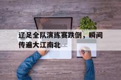 雷速体育电脑版官网下载-关于辽足全队演练赛跌倒，瞬间传遍大江南北的信息