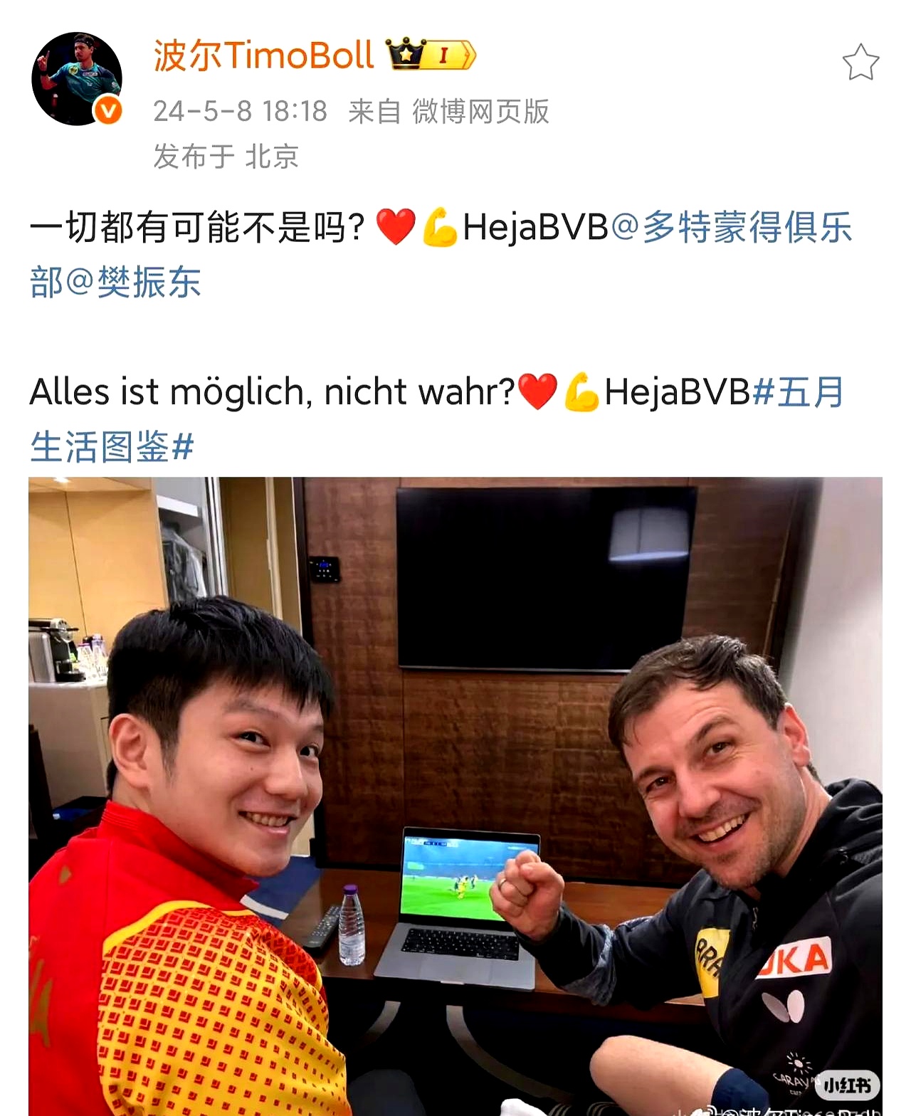 包含波兰乒乓球队爆冷日本乒乓球队，波尔绝境逆转的词条